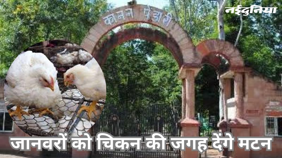 naidunia_image